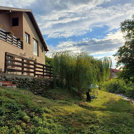 Апартаменты Casa Radu Новач-Стрэйни Экстерьер фото
